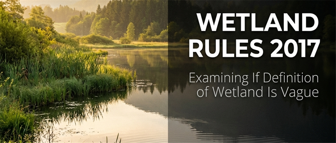 ‘Wetland’ In Wetland Conservation